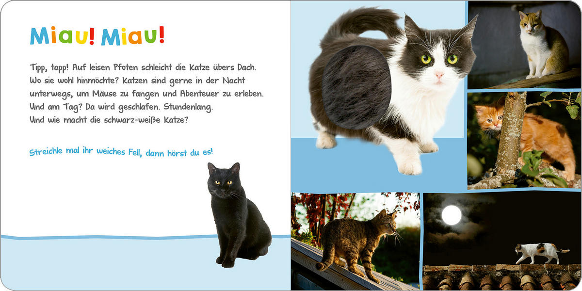 BUCH - Multicolor, Basics, Papier (19,5/19,5/1,9cm)