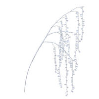 UKRASNA GRANČICA - prozirna, Osnovno, plastika (4,00/30,00/80,00cm)