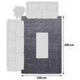 HOCHFLORTEPPICH 200/290 cm Dream 4000  - Grau, Trend, Textil (200/290cm) - Novel
