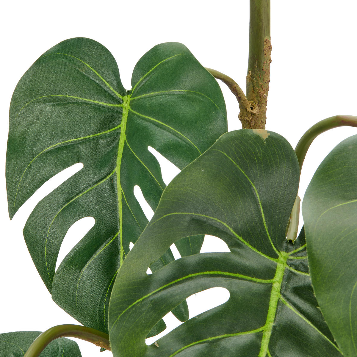 KUNSTPFLANZE Split Philodendron 185 cm  - Grün, Basics, Kunststoff (185cm)