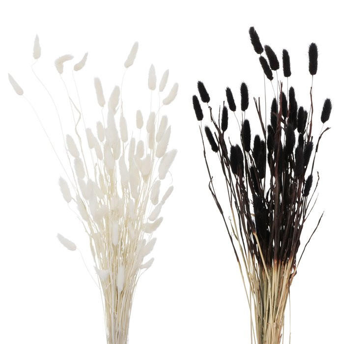 DEKOR GALLY - Basics (70cm)