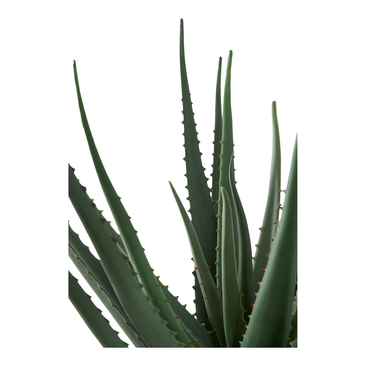 KONSTVÄXT Aloe Vera  - grön, Design (30.5/51/30.5cm)