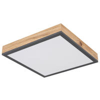 LED PANEL, 30/30 cm  - opál/barvy grafitu, Basics, kov/plast (30/30cm) - Globo
