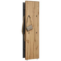 GARDEROBE 2-teilig 51,9/205,5/37,1 cm  - Eichefarben/Graphitfarben, Design, Holz/Holzwerkstoff (51,9/205,5/37,1cm) - Dieter Knoll