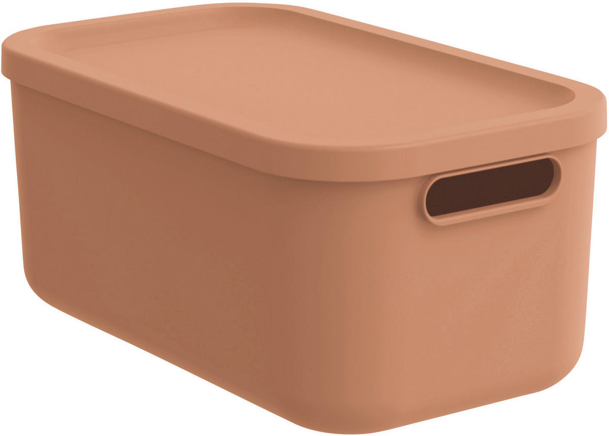 AUFBEWAHRUNGSBOX     - Koralle, Basics, Kunststoff (23.5/17.7/39.5cm) - Rotho