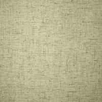 VORHANGSTOFF per lfm blickdicht  - Hellgrün, Basics, Textil (148cm) - Esposa