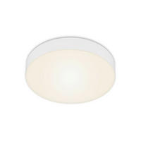 LED PLAFONJERA Flame  - bela, Osnovno, metal/plastika (21,2/3,6cm)