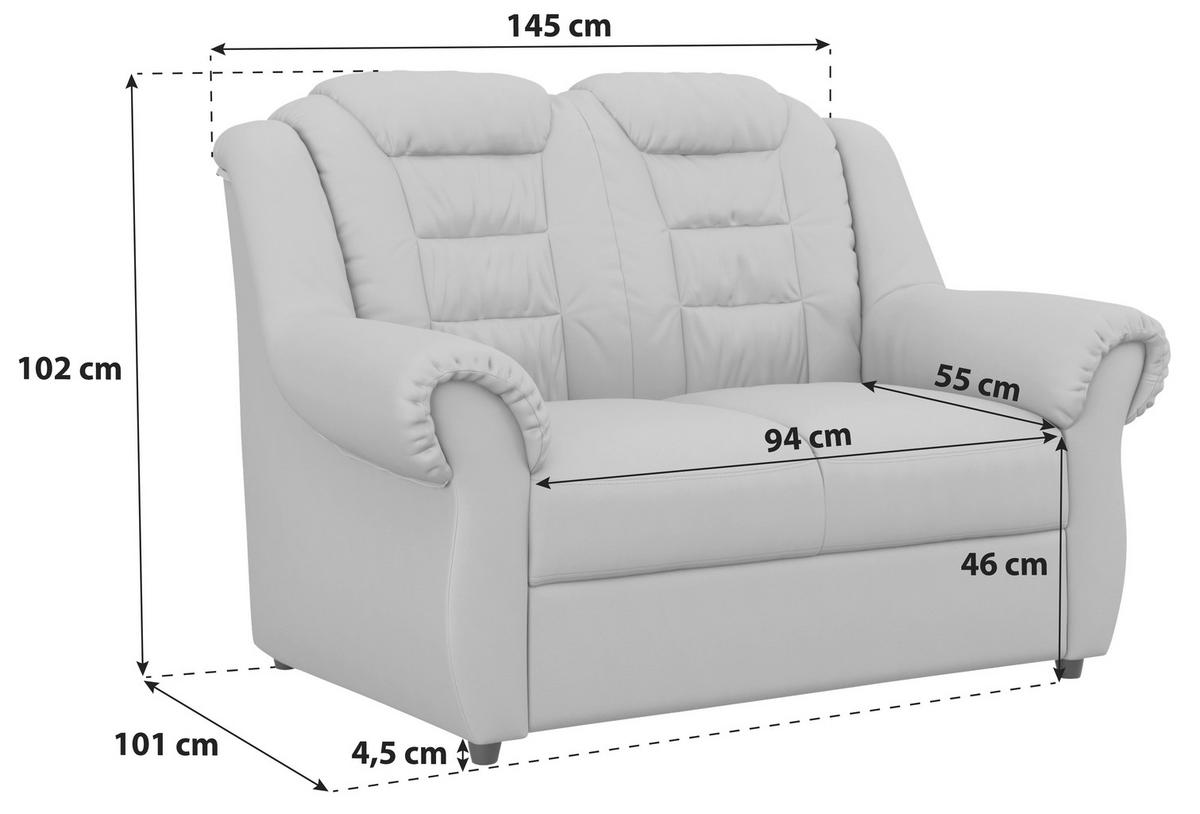 2-SITZER-SOFA in Lederlook Hellgrau  - Hellgrau/Schwarz, Konventionell, Kunststoff/Textil (145/102/101cm) - Livetastic