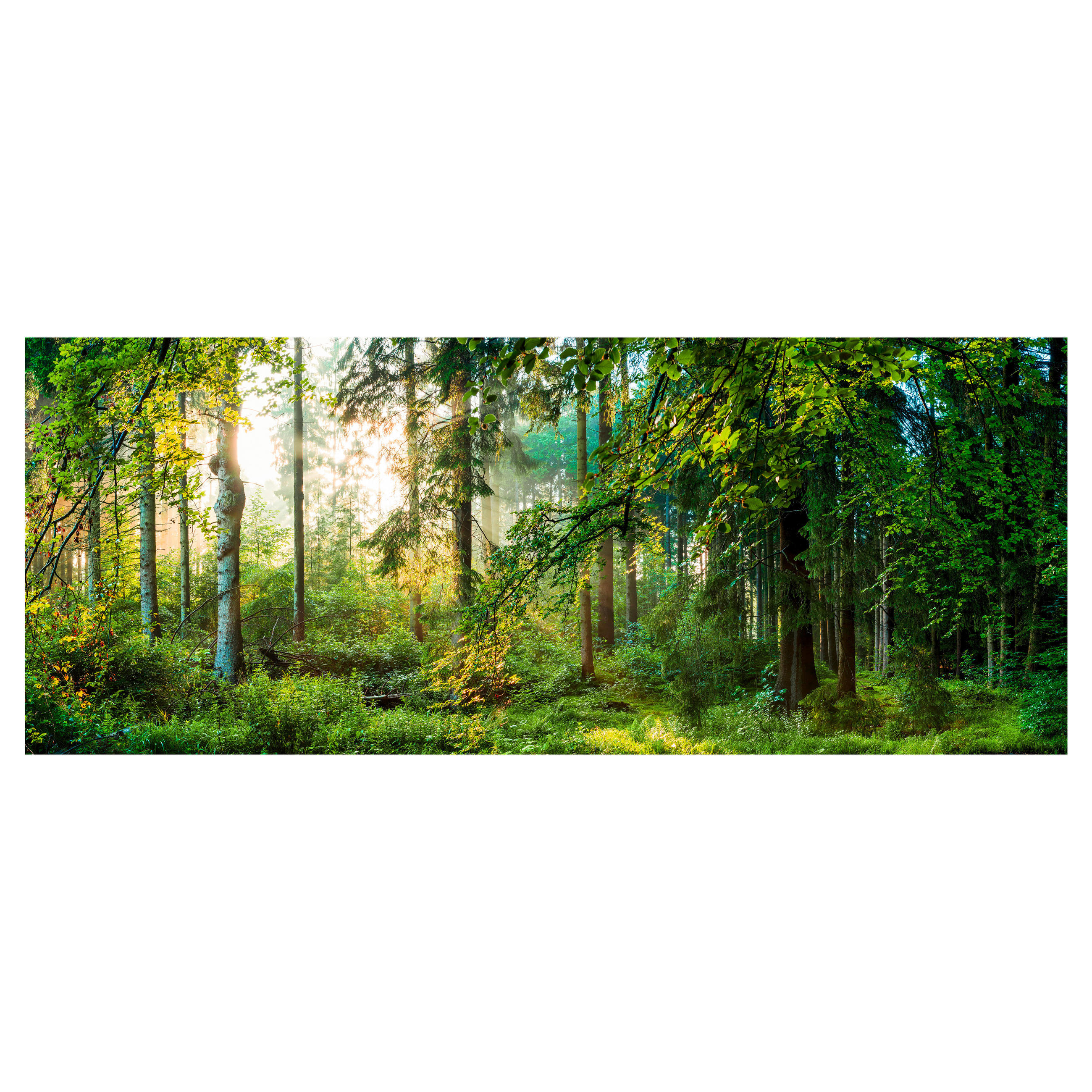 GLASBILD Landschaft & Natur 125/50 cm  - Multicolor, Basics, Glas (125/50cm) - Monee