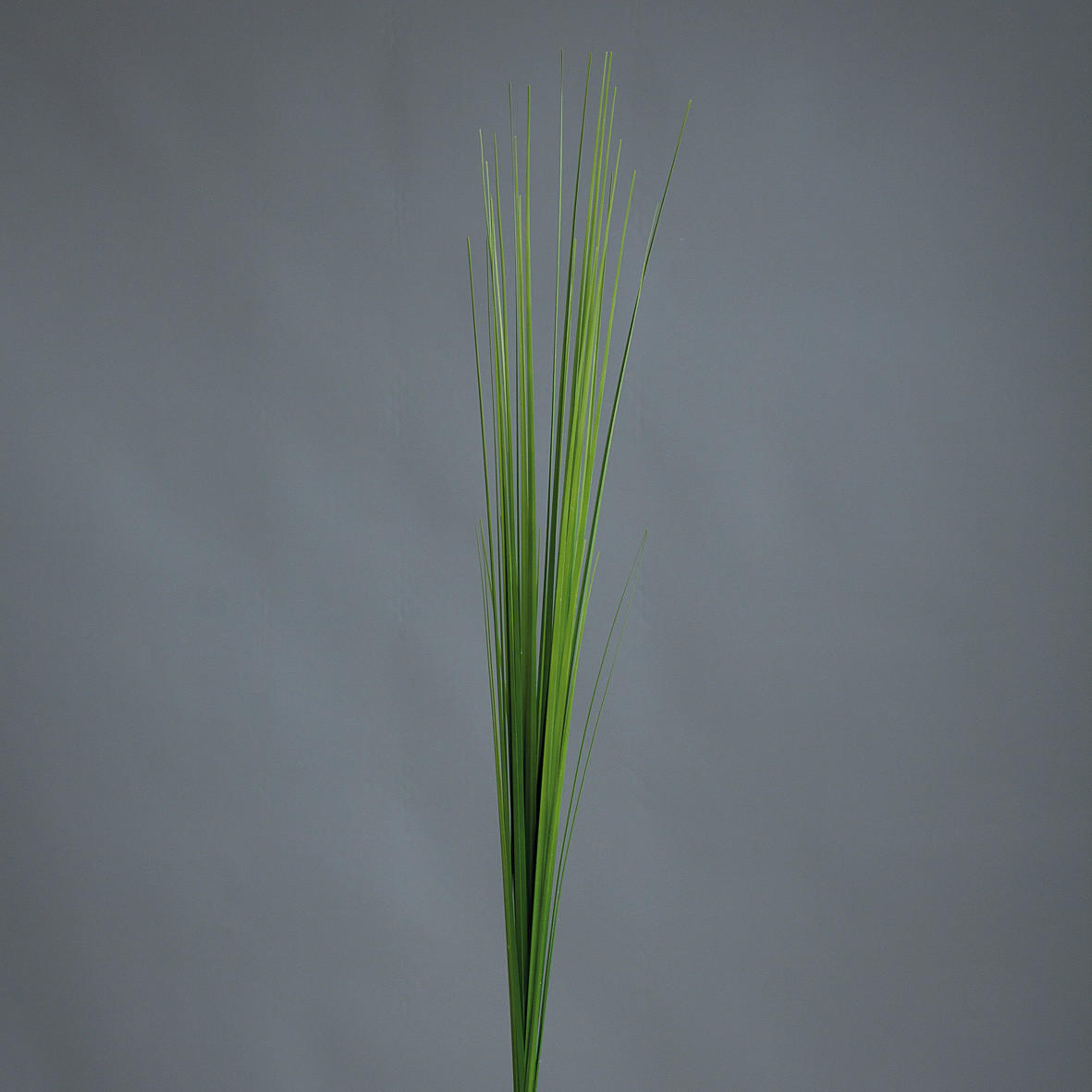 DEKORATIONSGRÄS - grön, Basics, plast (85cm)