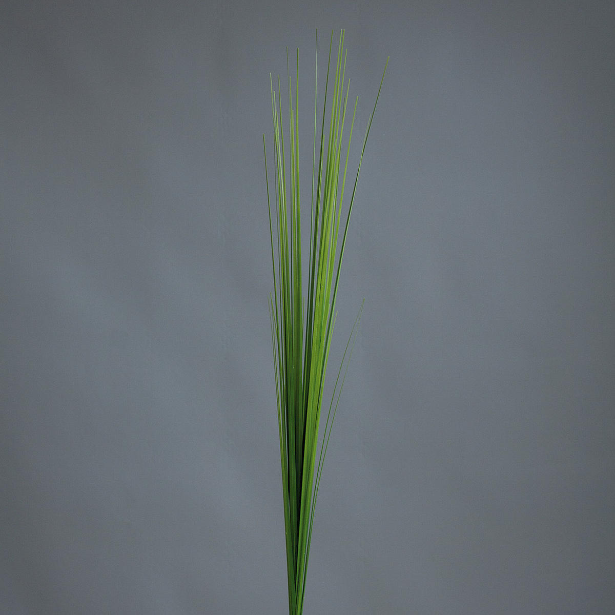 DEKORAČNÍ TRÁVA, 85 cm - zelená, Basics, plast (85cm)