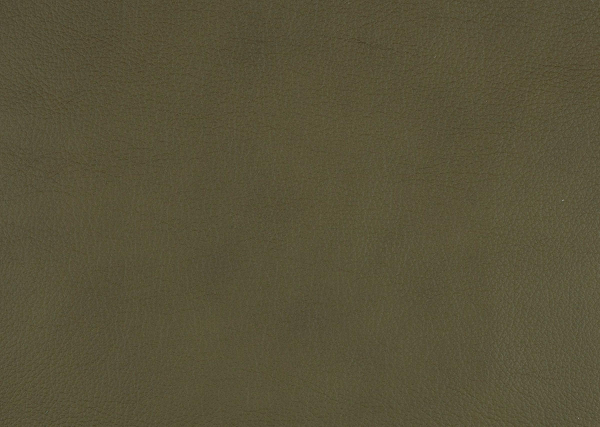 WOHNLANDSCHAFT in Echtleder Grün  - Schwarz/Grün, Design, Leder/Metall (181/336/206cm) - Beldomo Speed