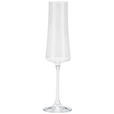 SEKTGLAS BARDOLINO 210 ml  - Klar, Design, Glas (0,21l) - Novel