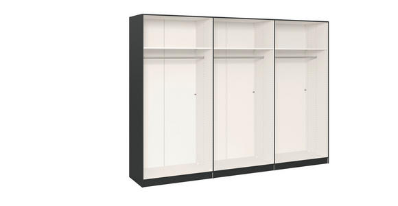 DREHTÜRENSCHRANK in Anthrazit, Schwarz - Edelstahlfarben/Anthrazit, Design, Glas/Holzwerkstoff (303/215/59cm) - Carryhome