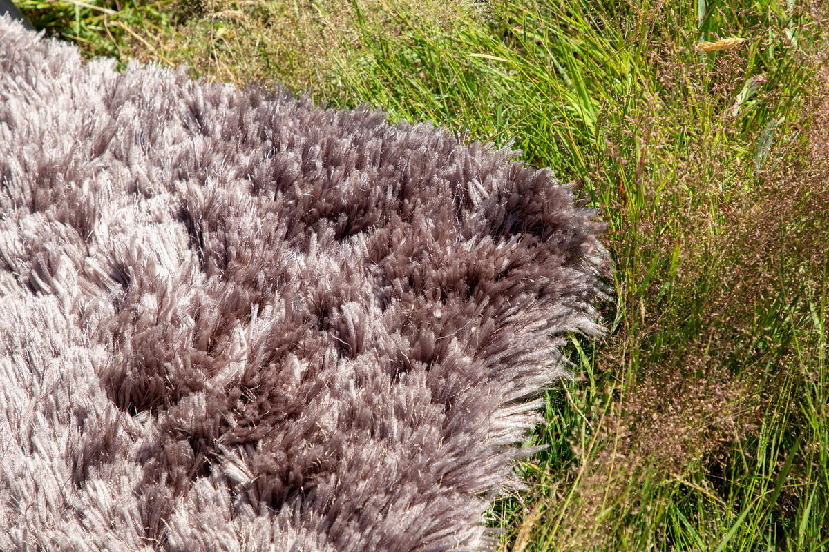 HOCHFLORTEPPICH 200/300 cm Braun  - Braun, LIFESTYLE, Textil (200/300cm) - P & B