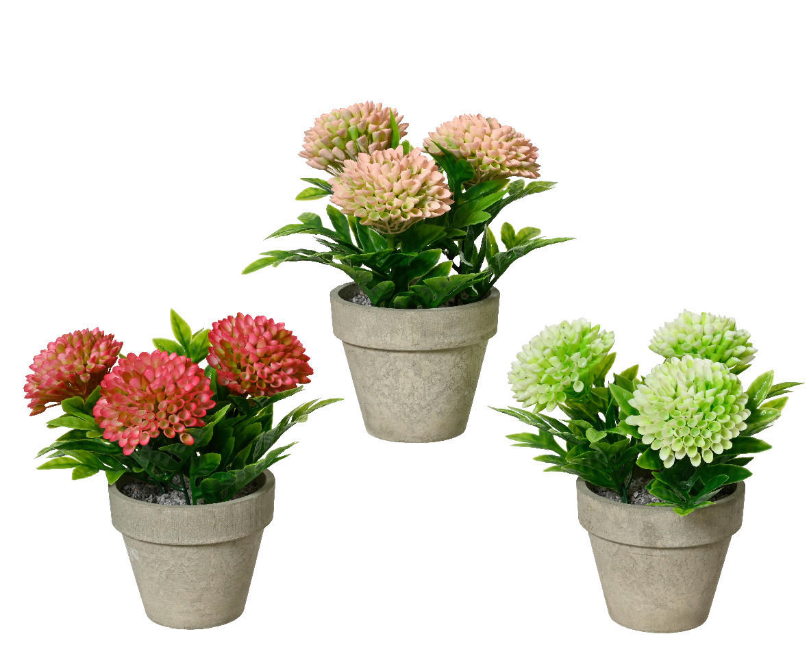 KRIZANTEMA  - zelena/prirodne boje, Lifestyle, plastika (12,00/19cm)