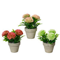 KRIZANTEMA  - zelena/prirodne boje, Lifestyle, plastika (12,00/19cm)