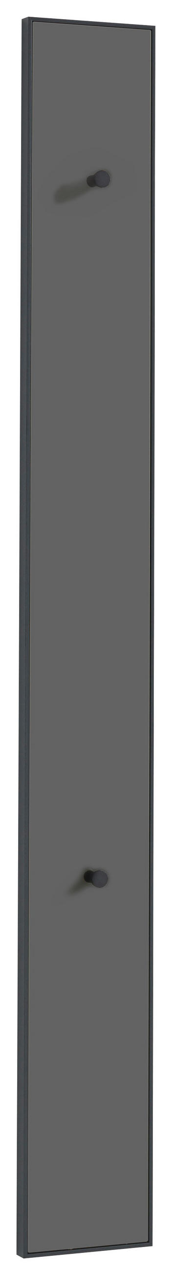 GARDEROBENPANEEL Anthrazit, Grau - Anthrazit/Grau, Design (16/140/5cm)