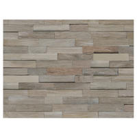 WANDVERKLEIDUNG - Hellbraun, Basics, Holz (50/20/2cm)