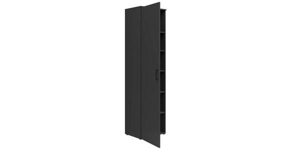 MEHRZWECKSCHRANK 50/195/40 cm  - Anthrazit/Schwarz, MODERN, Holzwerkstoff/Kunststoff (50/195/40cm) - Carryhome