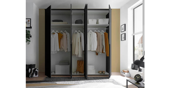 DREHTÜRENSCHRANK in Graphitfarben - Schwarz/Graphitfarben, MODERN, Glas/Holzwerkstoff (225/225/52cm) - Carryhome