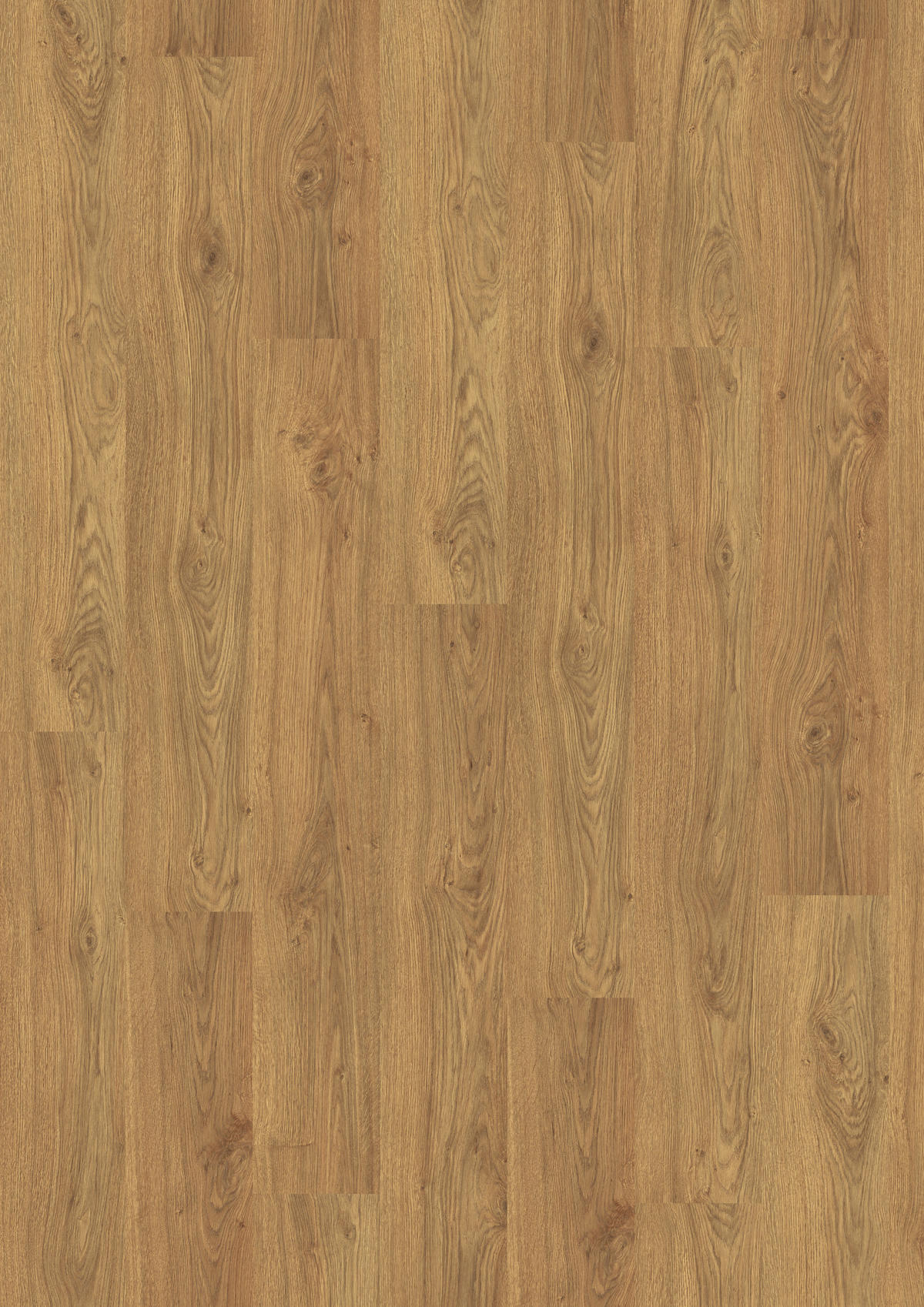 LAMINATBODEN Asgil Eiche EGGER Nature Sense  per  m² - Eichefarben/Braun, KONVENTIONELL, Holzwerkstoff (129.2/19.3/0.8cm) - Egger Holzwerkstoffe