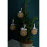 CHRISTBAUMKUGEL-SET 4-teilig Champagner - Champagner, Kunststoff (10cm) CHRISTBAUMKUGEL-SET 4-teilig Champagner - Champagner, Kunststoff (10cm)