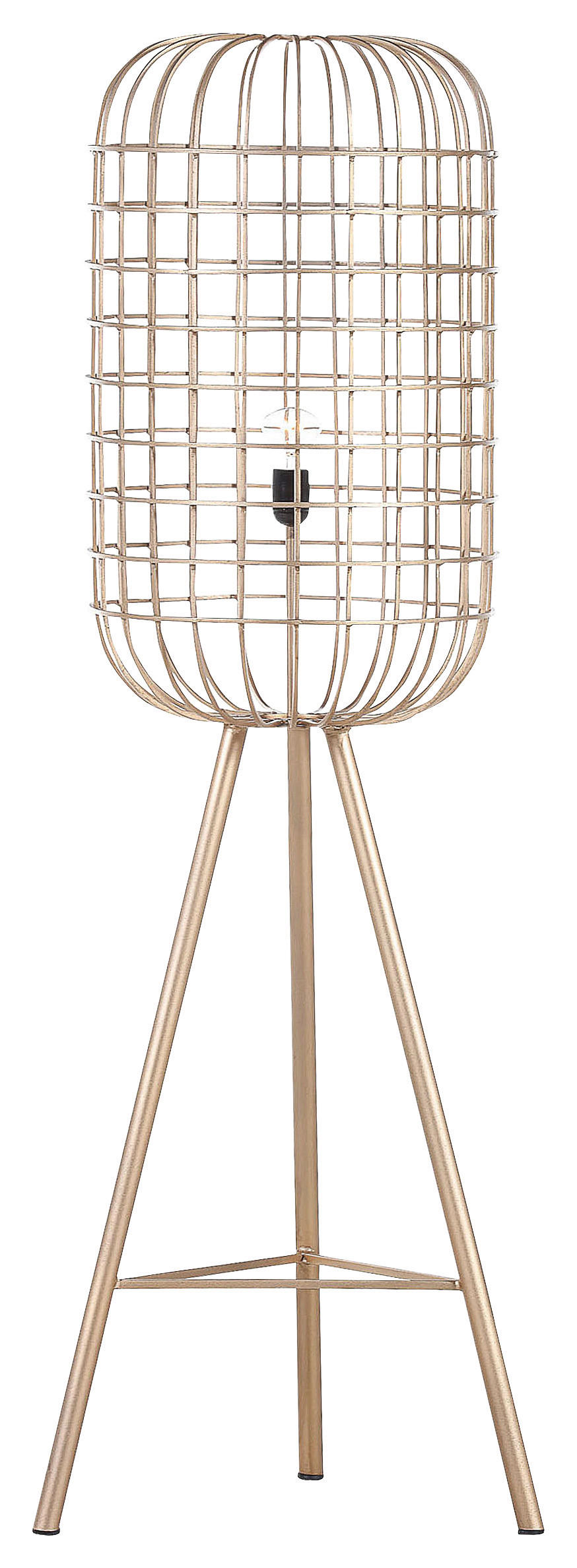 STEHLEUCHTE 41/144 cm    - Goldfarben, Trend, Metall (41/144cm)
