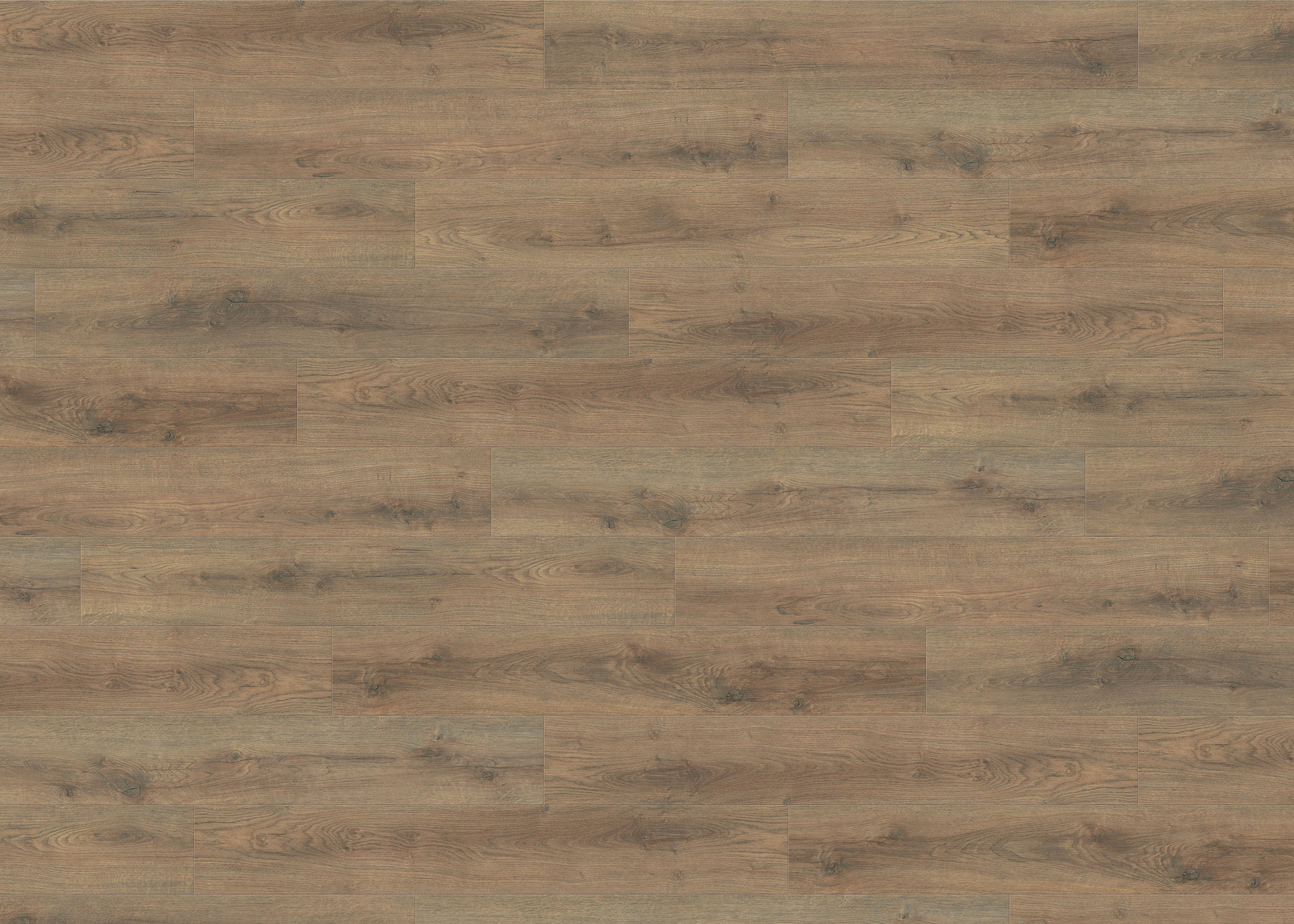 LAMINATBODEN Living by HARO Laminat Sonderedition NKL 31  per  m² - Mokka, Basics, Holzwerkstoff (19.3/128.2cm) - Living by HARO