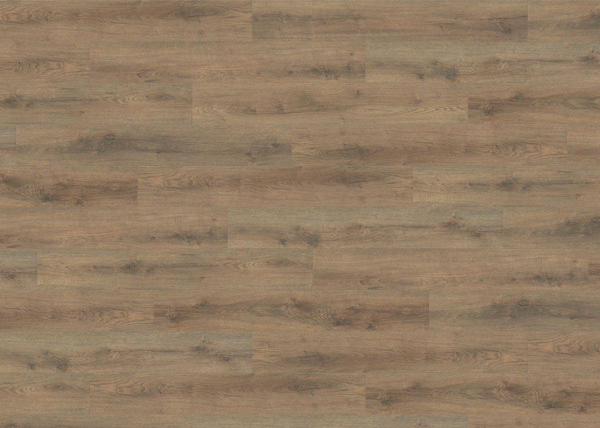 LAMINATBODEN Living by HARO Laminat Sonderedition NKL 31  per  m² - Mokka, Basics, Holzwerkstoff (19.3/128.2cm) - Living by HARO