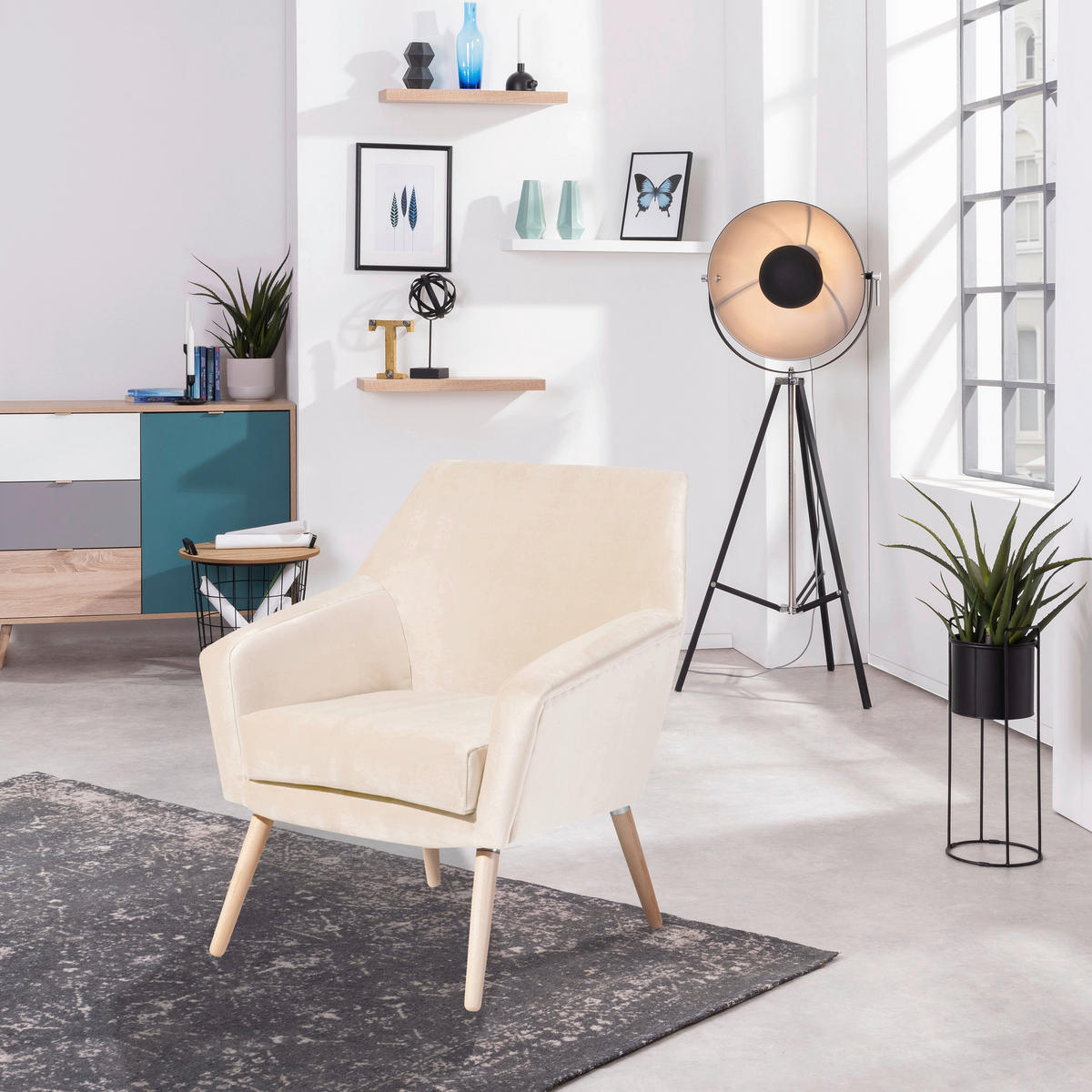 SESSEL in Samt, Velours Creme, Buchefarben  - Buchefarben/Creme, Design, Holz/Textil (67/81/71cm) - Max Winzer