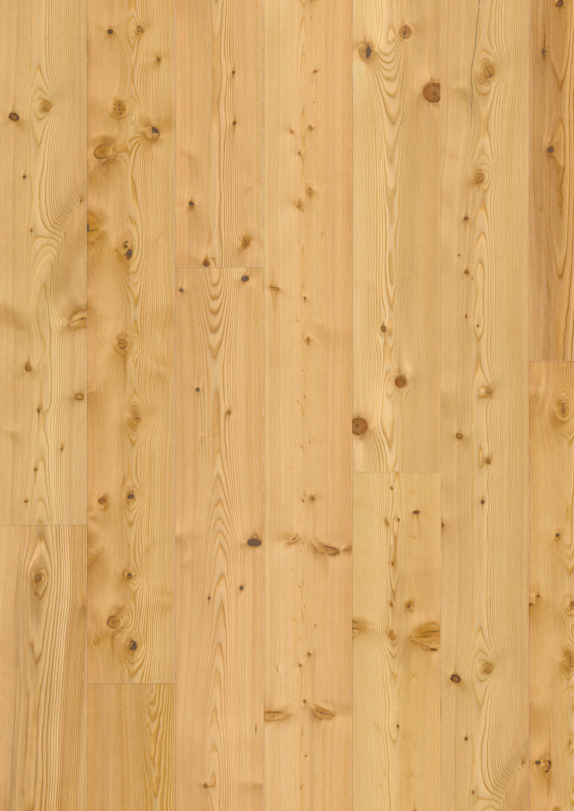 LANDHAUSDIELE RUSTICO Lärche Natur 100069101  per  m² - Lärchefarben, Design, Holz (241,5/18,2/1,3cm) - Tilo