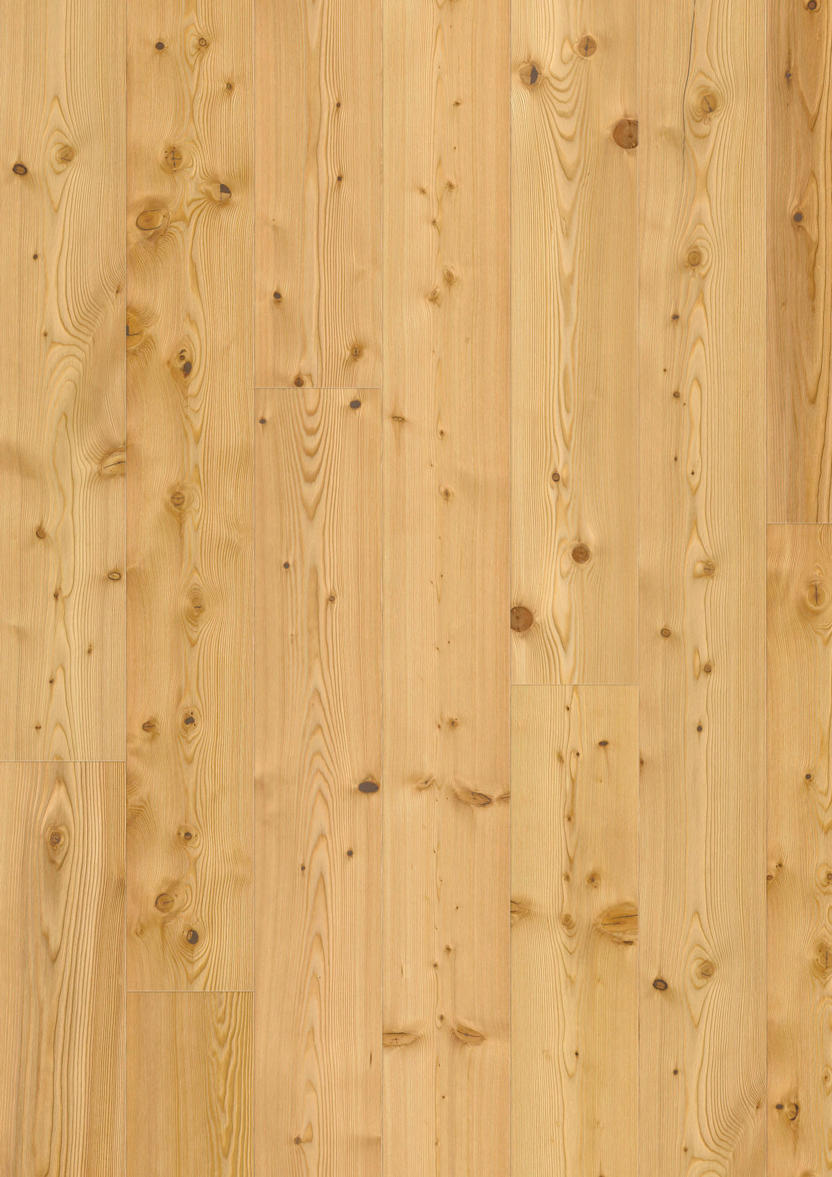 LANDHAUSDIELE RUSTICO Lärche Natur 100069101  per  m² - Lärchefarben, Design, Holz (241,5/18,2/1,3cm) - Tilo