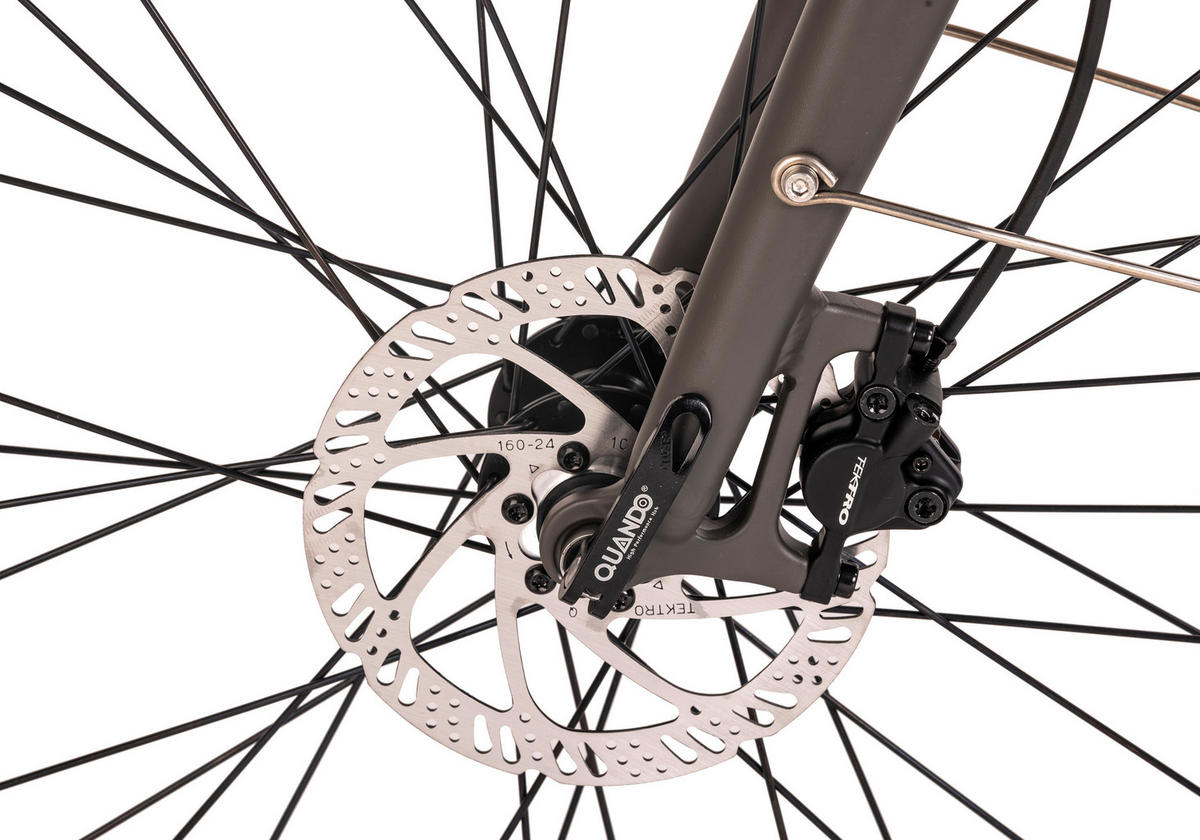 ELEKTROFAHRRAD 28 Zoll  - Grau, Basics, Metall (180/70/100cm)