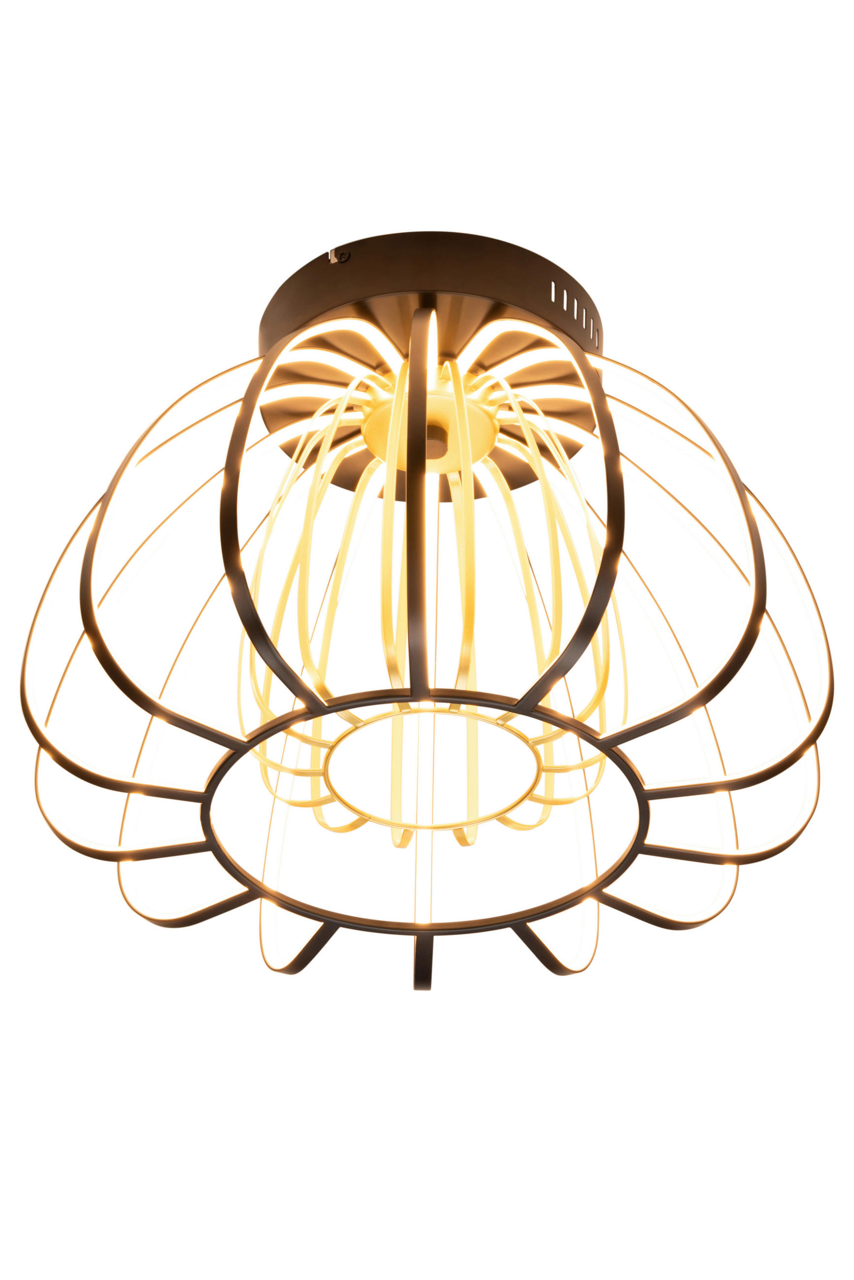 LED-DECKENLEUCHTE Ontario 44,5/33 cm   - Goldfarben/Schwarz, Design, Glas/Kunststoff (44,5/33cm) - Novel