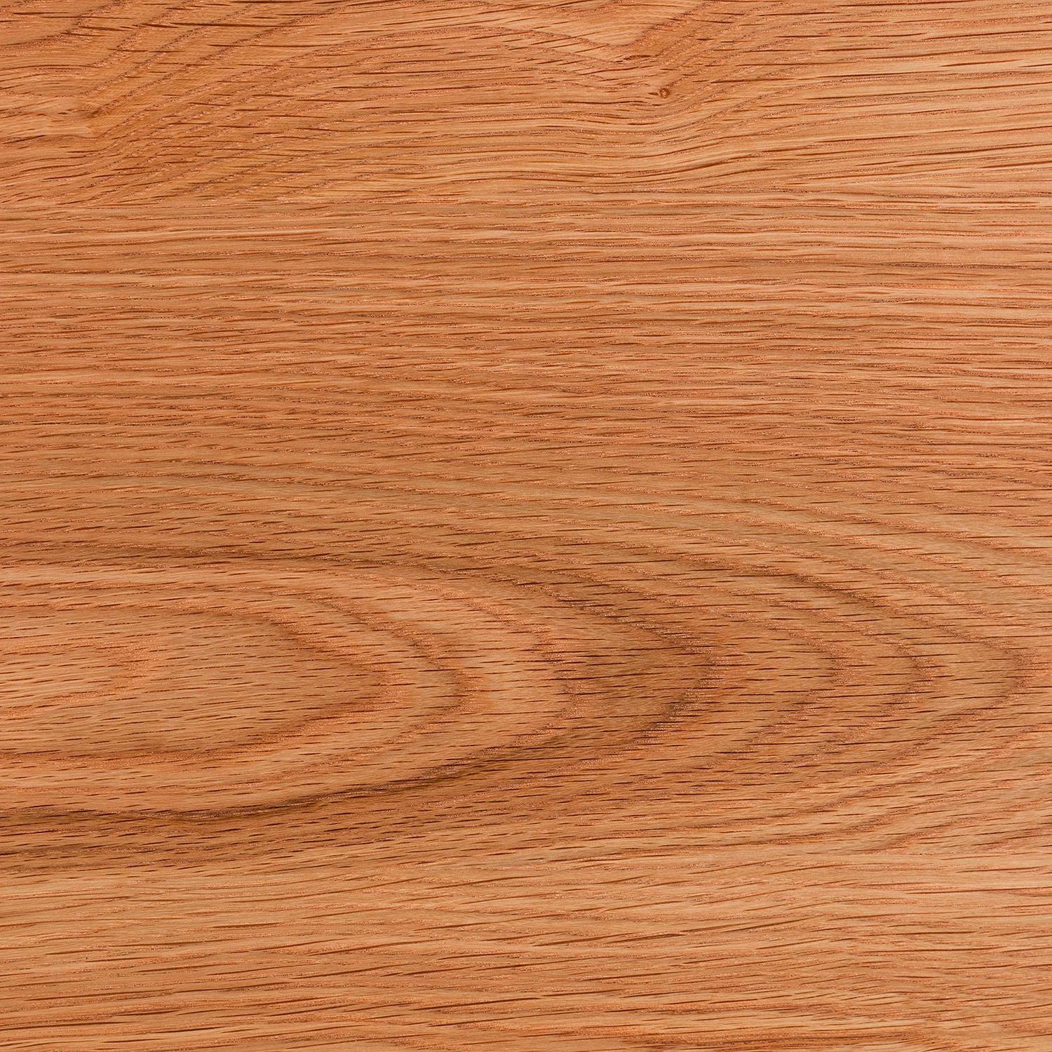 BEISTELLTISCH 50/50/40 cm Eiche furniert Eichefarben rund  - Eichefarben, Natur, Holz/Holzwerkstoff (50/50/40cm) - home24