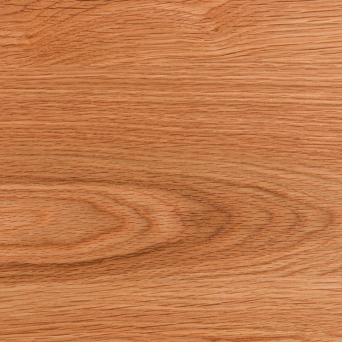 BEISTELLTISCH 50/50/40 cm Eiche furniert Eichefarben rund  - Eichefarben, Natur, Holz/Holzwerkstoff (50/50/40cm) - home24
