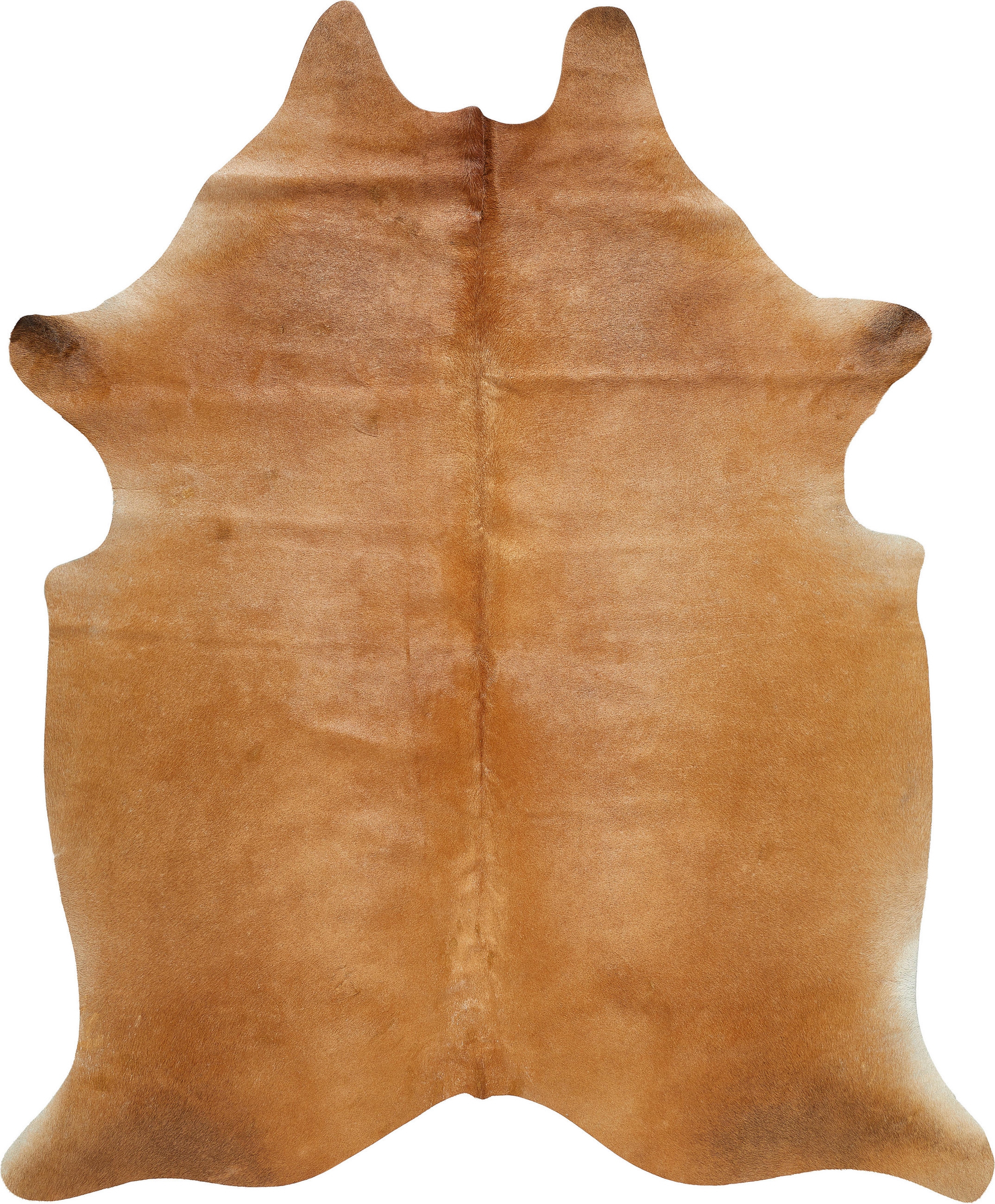 RINDERFELL 160/250 cm Braun Tierform  - Braun, Basics, Leder/Fell (160/250cm) - Linea Natura