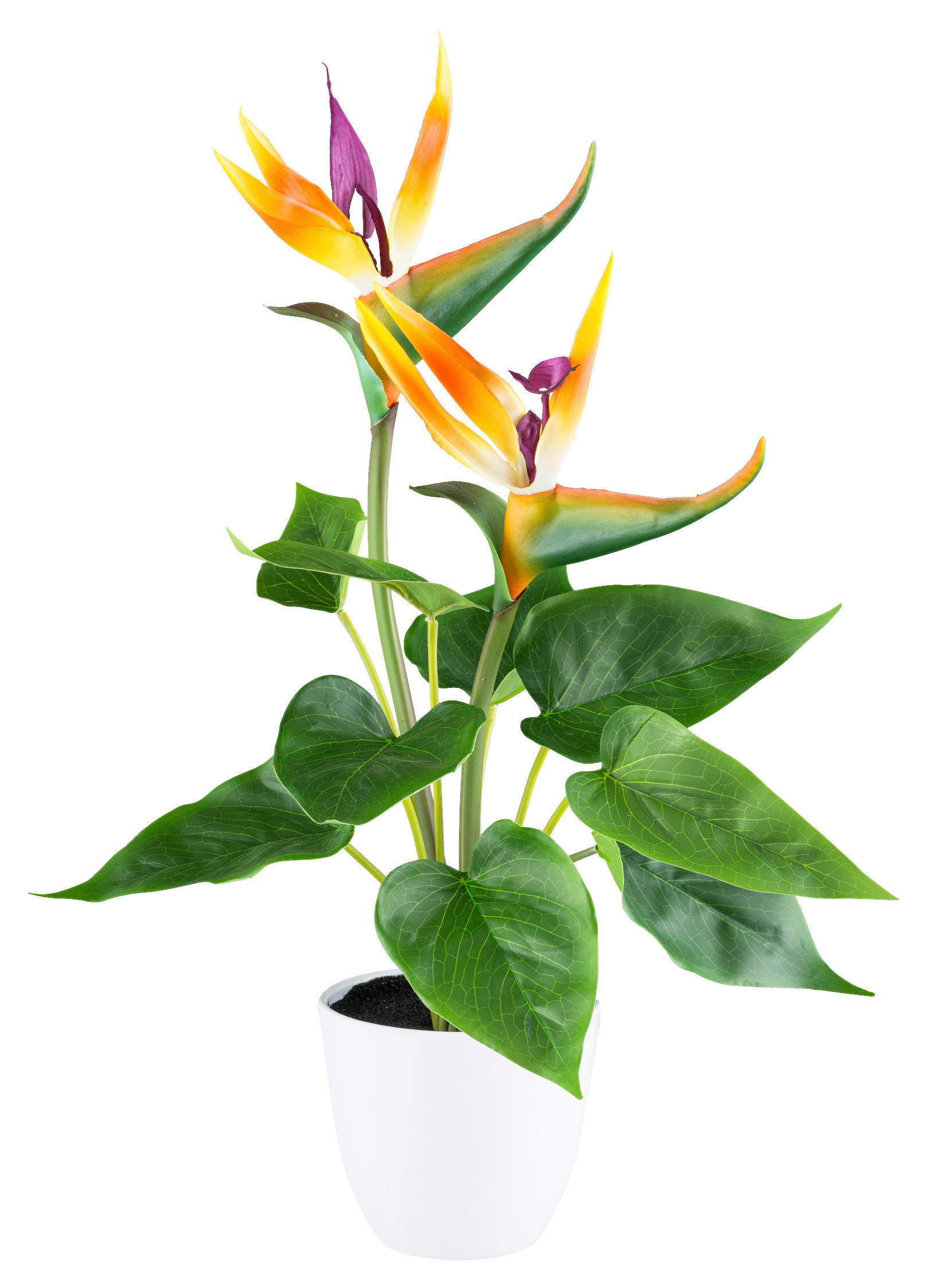 KUNSTPFLANZE Strelitzie 42 cm  - Lila/Weiß, Design, Kunststoff (42cm)