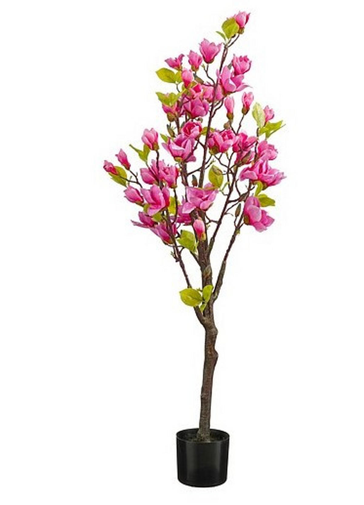 KONSTVÄXT  - grön/ljusrosa, Basics, plast (50/168cm)