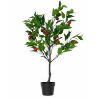 UMETNA RASTLINA    50/95/47 cm           - rdeča/črna, Basics, kamen/kovina (50/95/47cm) - Ambia Home
