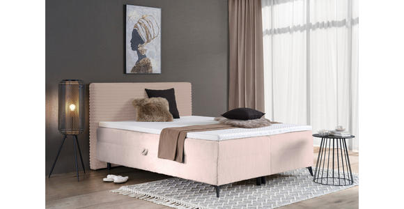 BOXBETT 160/200 cm in Rosa - Schwarz/Rosa, Design, Holz/Holzwerkstoff (160/200cm) - Xora