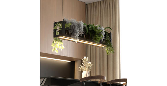 LED-HÄNGELEUCHTE Bury 118/22/150 cm  - Schwarz, Design, Metall (118/22/150cm) - Novel