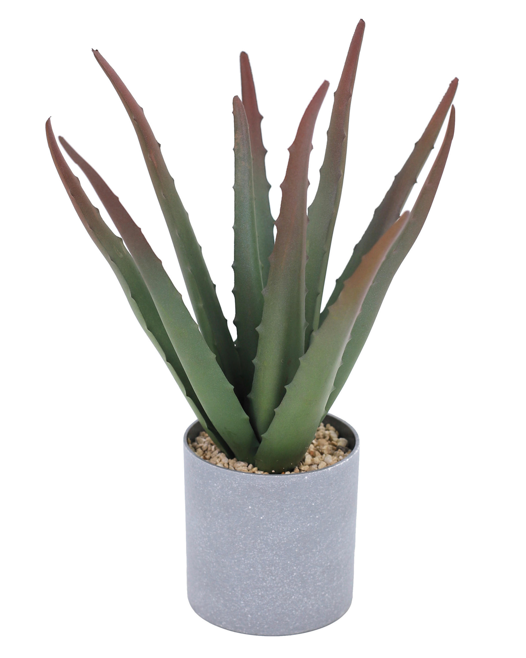KUNSTPFLANZE Aloe Vera 32 cm  - Altrosa/Grau, Basics, Kunststoff (32cm) - Ambia Home