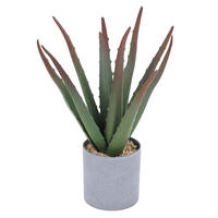 KUNSTPFLANZE Aloe Vera 32 cm  - Altrosa/Grau, Basics, Kunststoff (32cm) - Ambia Home