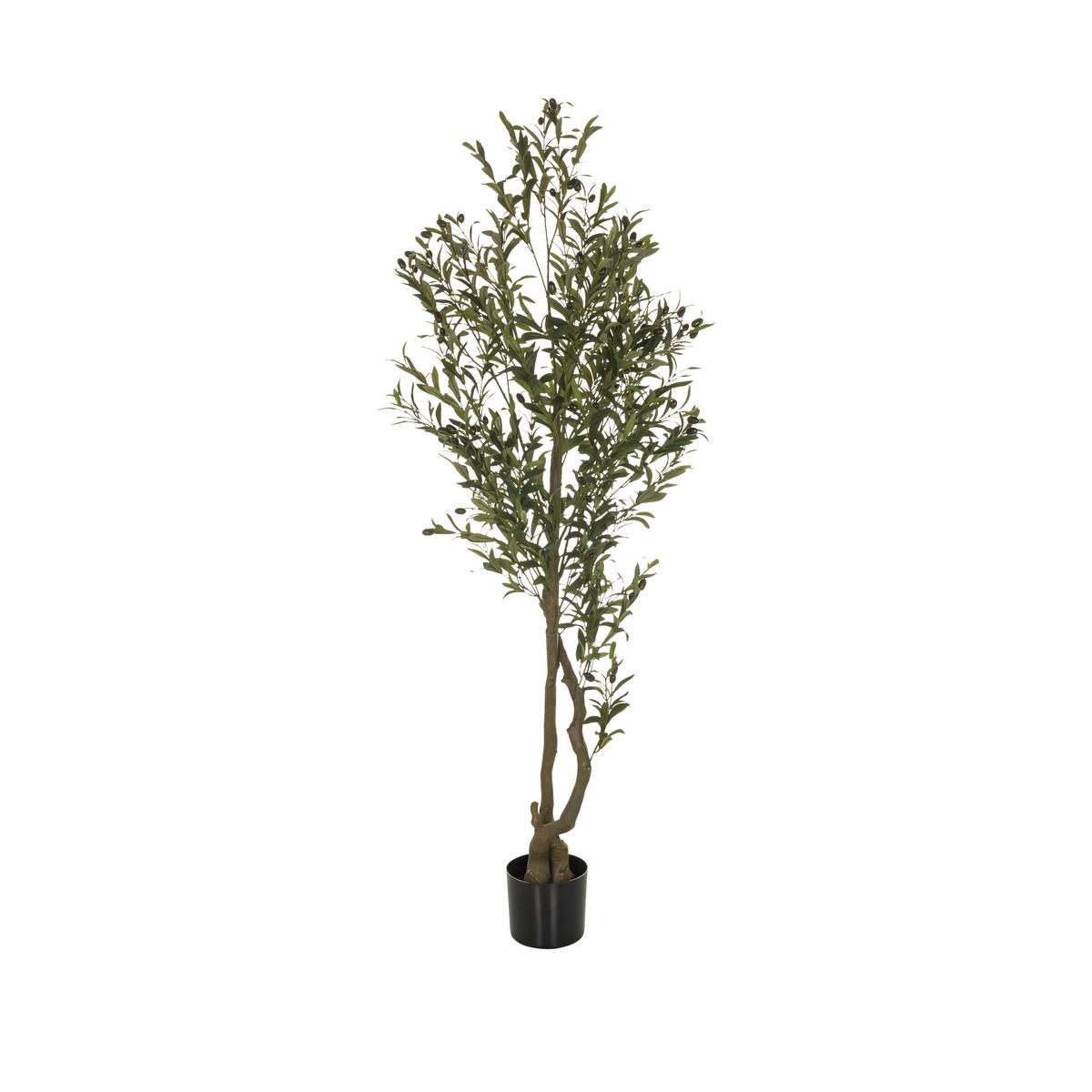KUNSTPFLANZE Olive  - Schwarz/Braun, Basics, Kunststoff (50/172/50cm) - MID.YOU