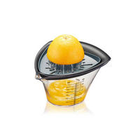 ODSTRANJEVALEC PEŠK ZA SADJE  FRUTI 21,3/18/13,5 cm                  - siva/prozorno, Konvencionalno, umetna masa (21,3/18/13,5cm) - Gefu