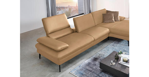 ECKSOFA in Echtleder Honig 325/157 cm - Schwarz/Honig, Design, Leder/Metall (325/157cm) - Dieter Knoll
