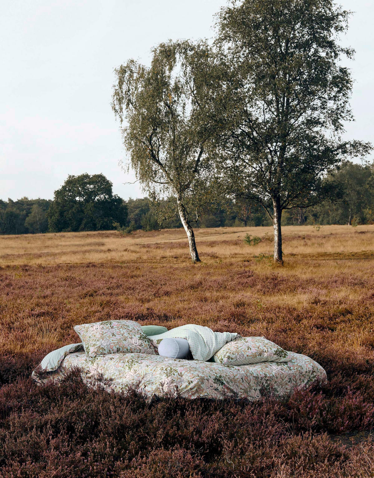 BETTWÄSCHE OPHELIA Satin  - Blau, Basics, Textil (200/200cm) - Essenza