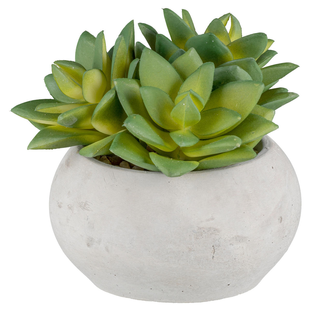 KUNSTPFLANZE Sukkulente 9 cm  - Hellgrau/Grün, Basics, Kunststoff/Stein (9cm)